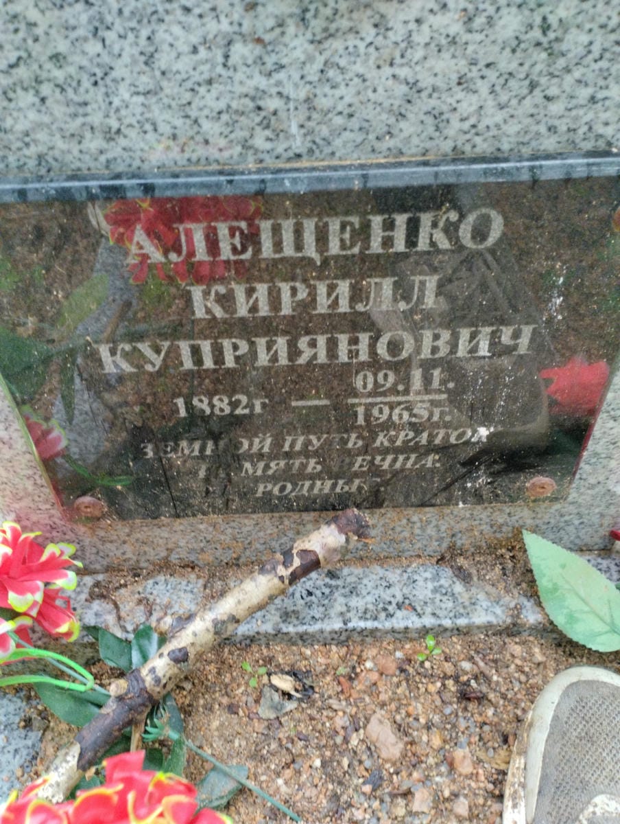 6a1d14c0-f0a0-4e40-9f41-06a06ab5f8cb Алещенко Кирилл Куприянович
