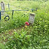 Власов Юрий Николаевич