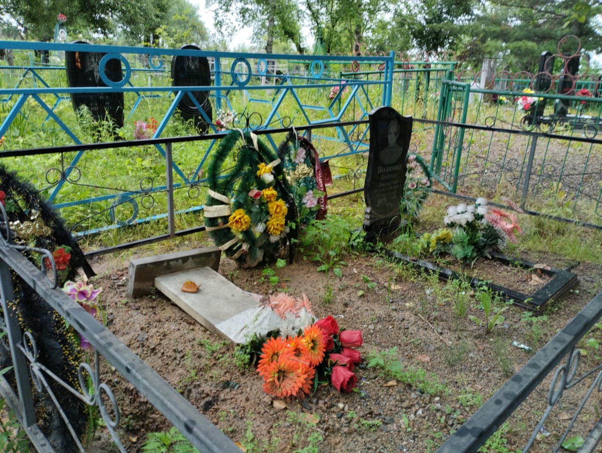 6b03b6cf-7ea6-41fb-832a-2182ded1585f Волкова Евдокия Ивановна