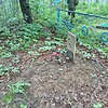 Санин Дмитрий Михайлович