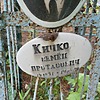 Кичко Семен Протасович