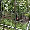 Хвостик Александр Наумович