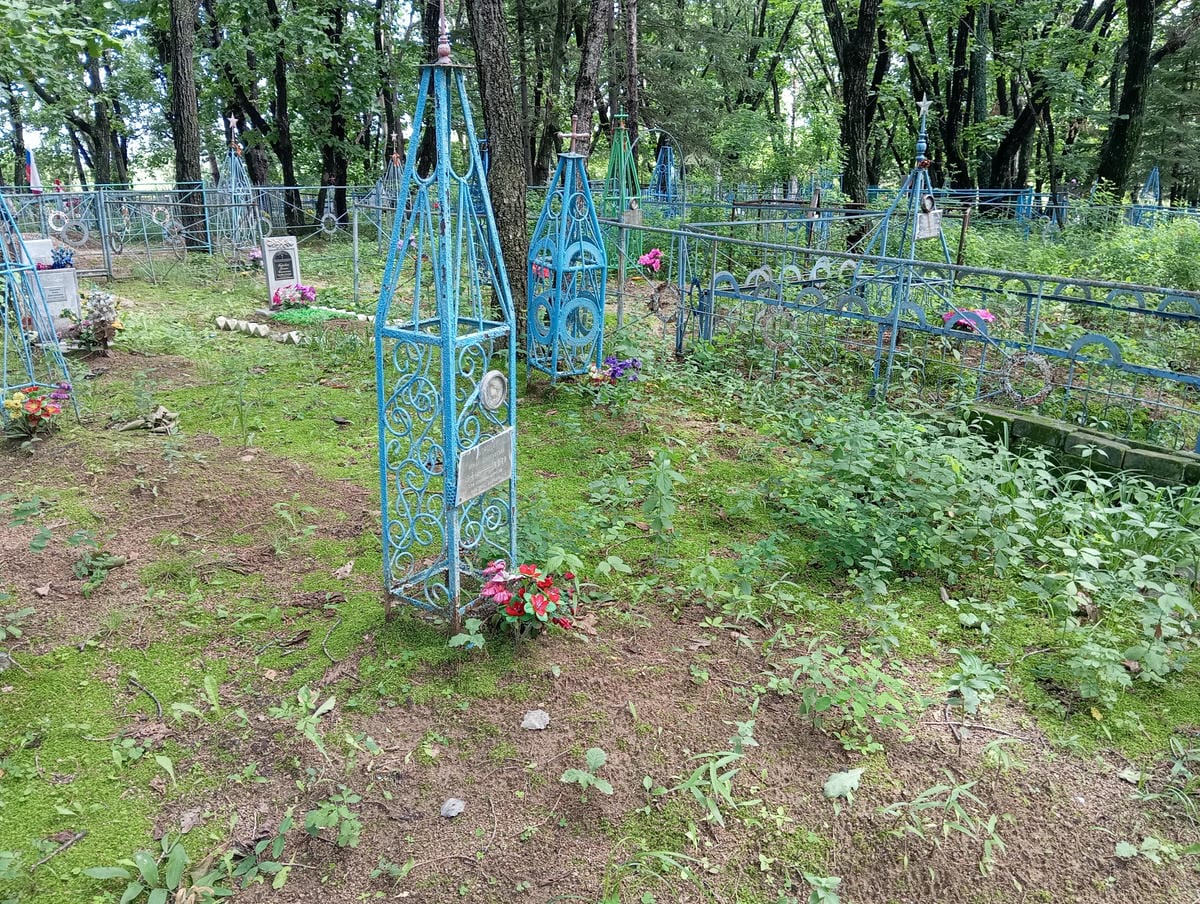 70fe8e75-2130-4b7d-a4c8-bae8e667874a Боровик Игнат Дмитриевич