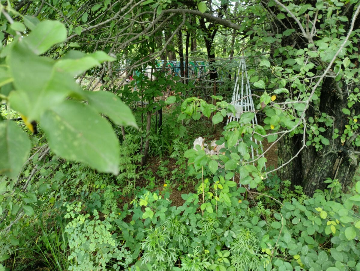 72cc3f7e-6572-43d3-b02b-2164a356af81 Оноприенко Вера Тимофеевна