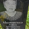 73391d0b-967d-4c27-ac46-15d2a39c8ebd Малюшенко Любовь Анатольевна
