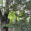 Кичко Семен Протасович