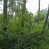 Попова Агрепина Михайловна