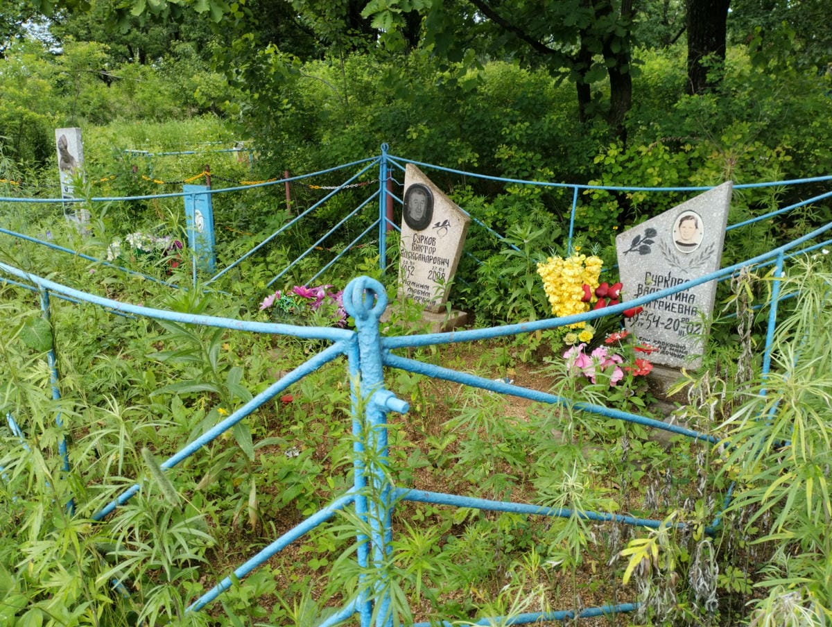 75ca1b51-06a9-41bb-ac71-490a6c71c54f Суркова Валентина Дмитриевна