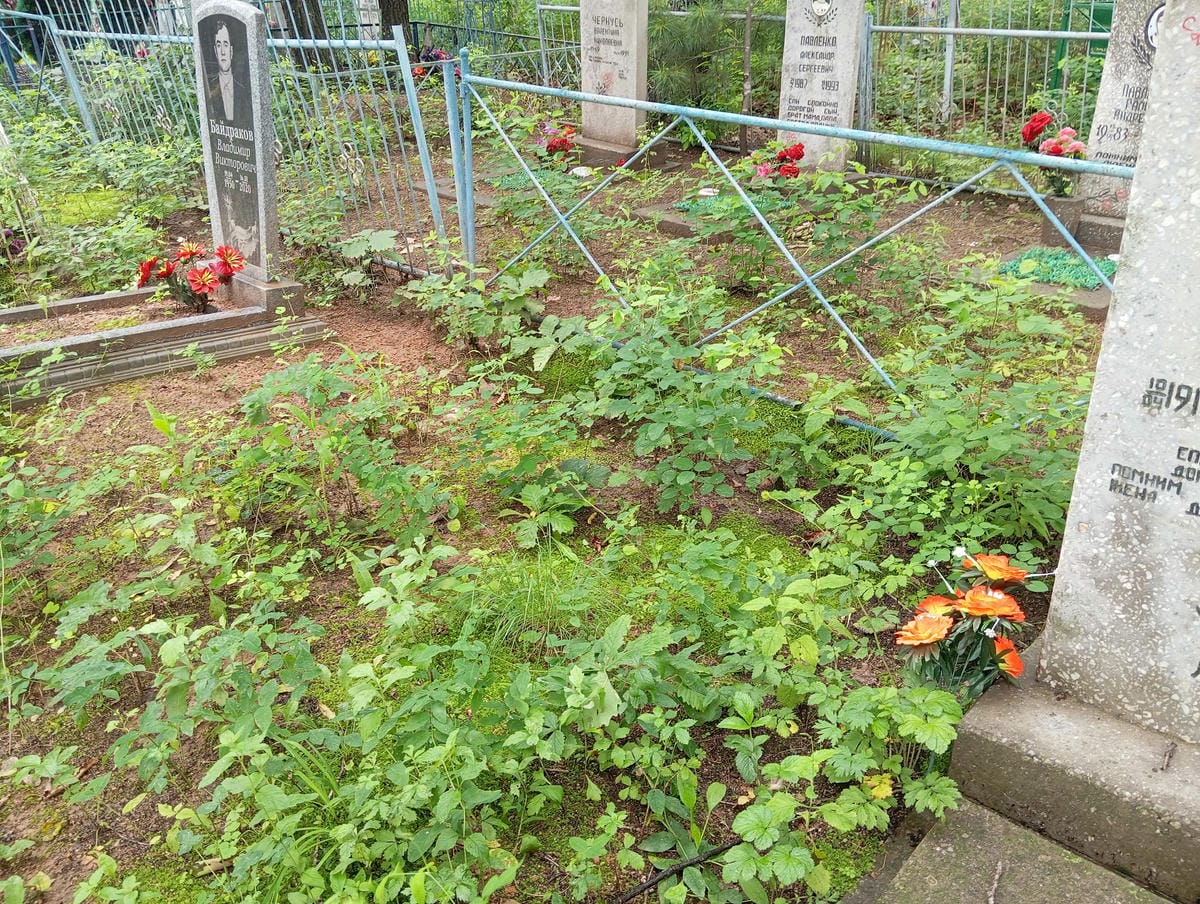 76370fd4-da7e-45a6-a83e-3eb8fdb8b8ea Неизвестно Неизвестно Неизвестно