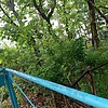 Васильев Платон Кириллович