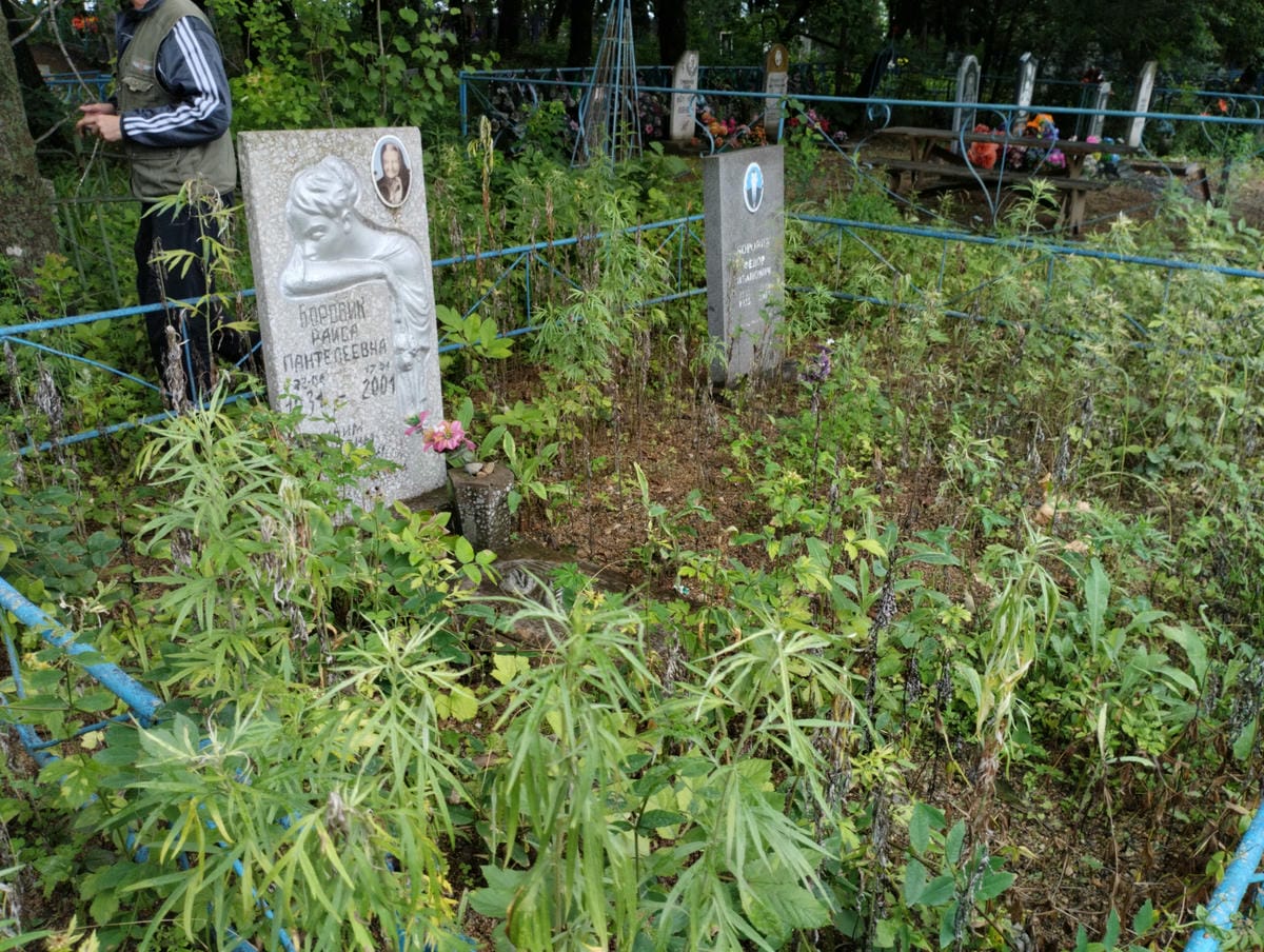 78dfeb13-5a68-4832-922e-2d1410d4ae34 Боровик Федор Иванович