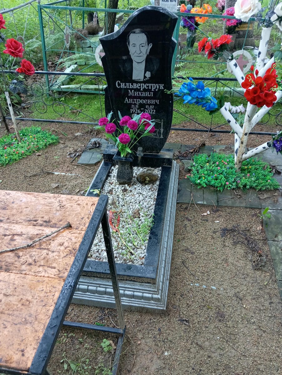 79b943e7-40c7-4421-8c8a-8b4c8d45efc2 Сильверструк Михаил Андреевич