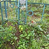 Аврамениц Матрена Сидоровна