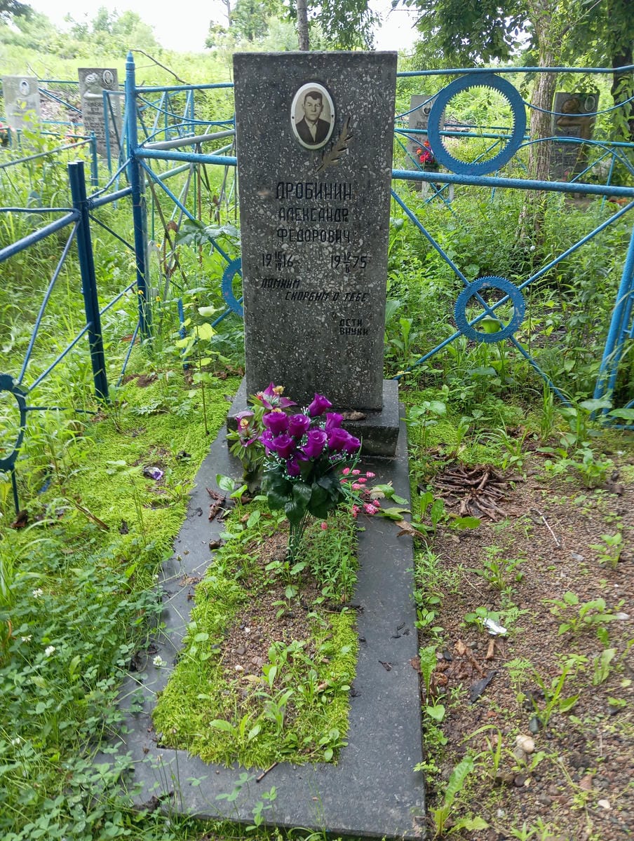 7a5e443e-8968-4f18-964e-fd0c391c0e22 Дробинин Александр Федорович