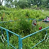 Каширина Любовь Лукинична