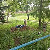 Соколова Наталья Андреевна
