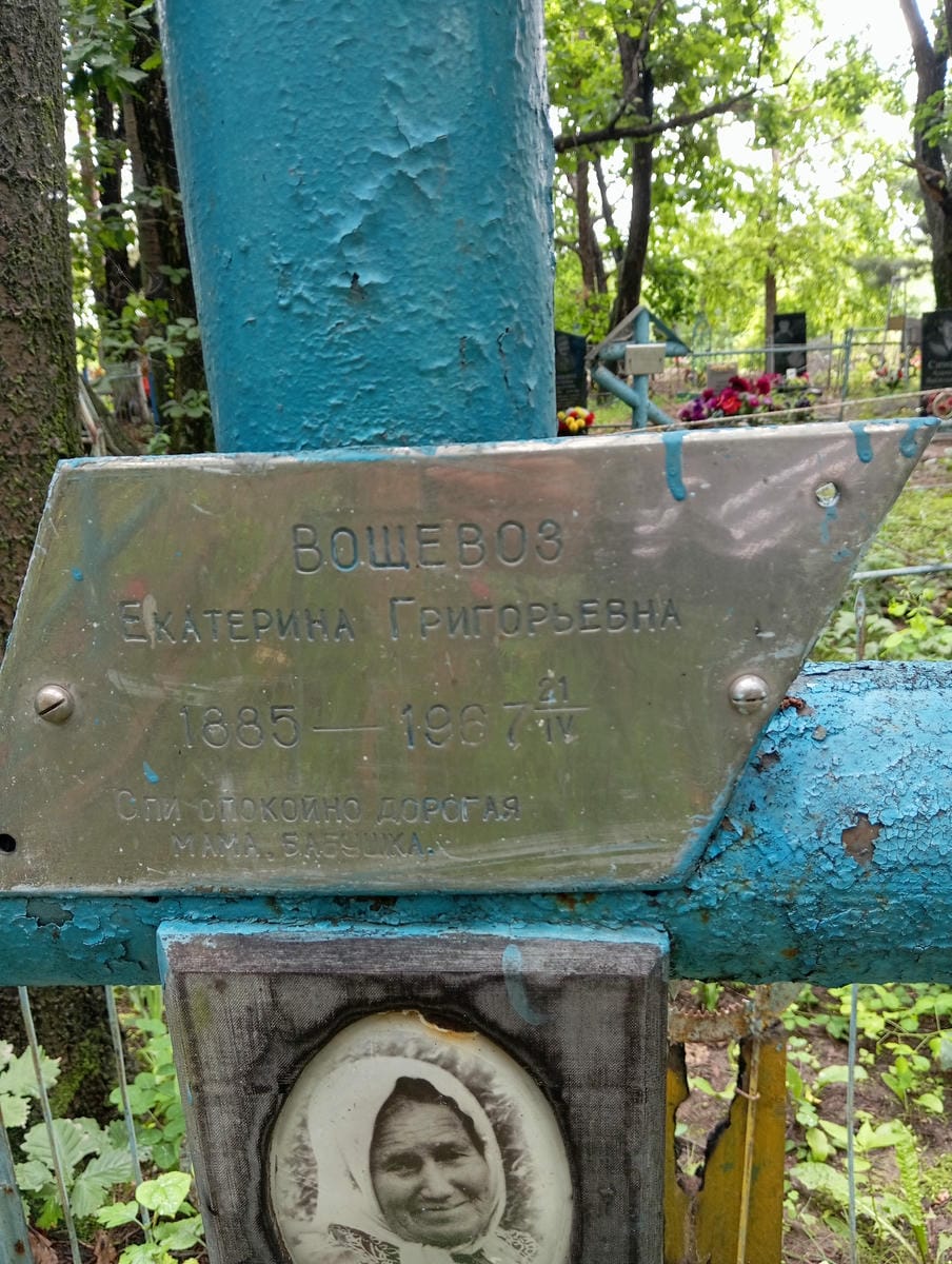 7ce3e231-d17d-4b29-90fa-ee73fe70bc53 Вощевоз Екатерина Григорьевна