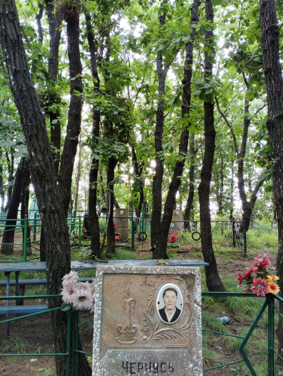 7da729ae-c388-49d6-b117-003a57f7d5e4 Чернусь Нина Андреевна