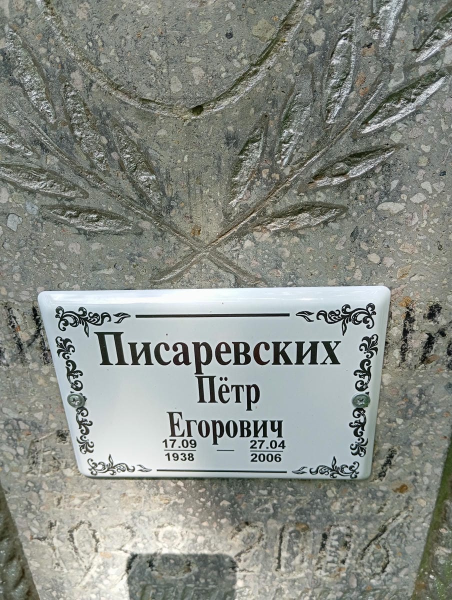 80daa6c8-d109-46fd-b9f9-4e6ead9bc57c Писаревских Петр Егорович