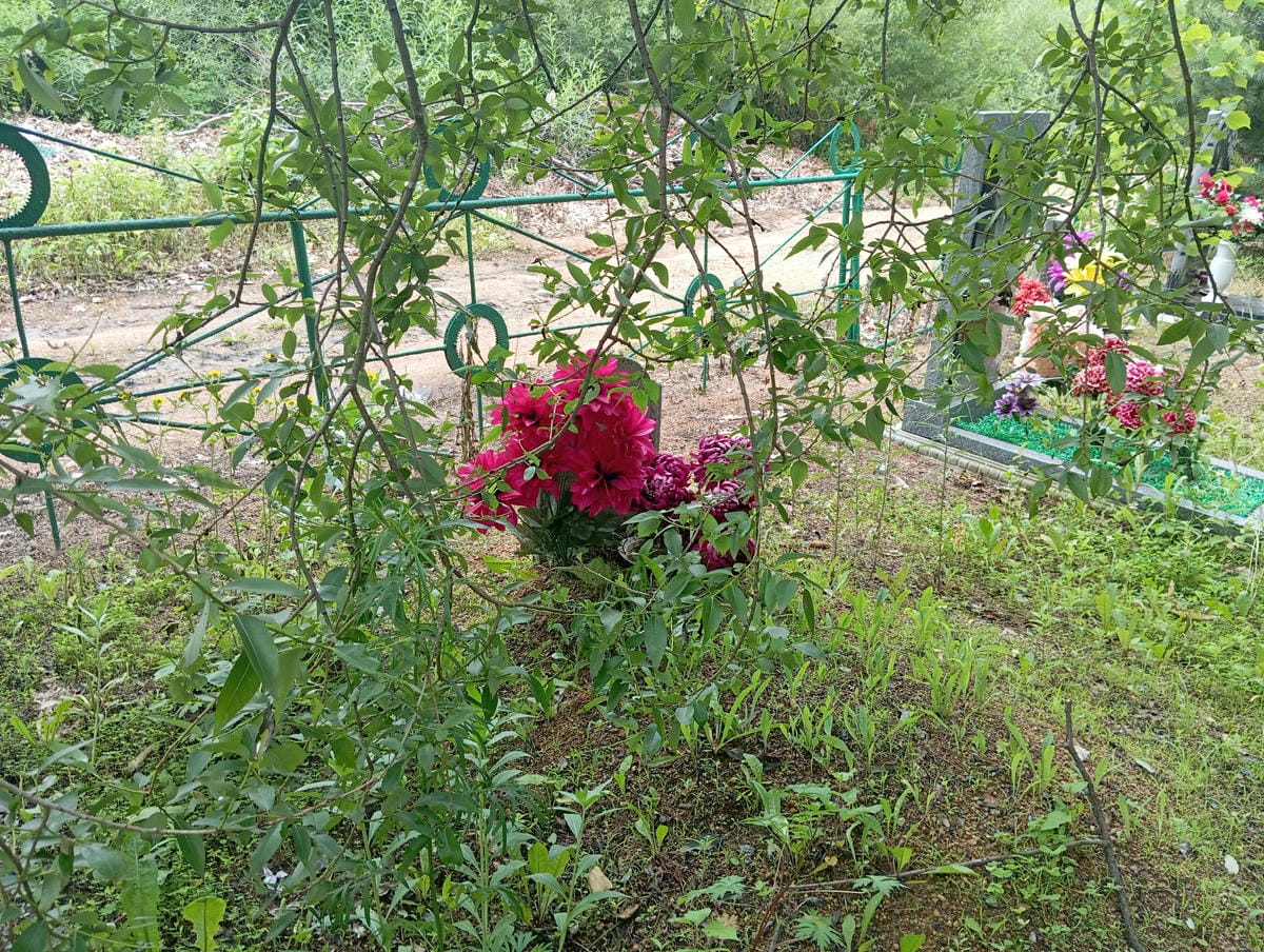 82d3470c-577f-4b20-bd9f-4497a4f51ed9 Неизвестно Неизвестно Неизвестно