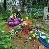 Ковальчук Алина Евгеньевна