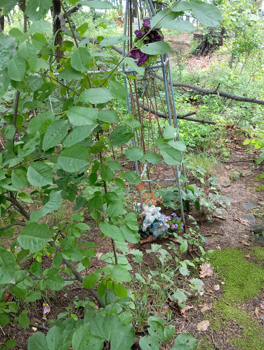 838edabb-49fe-47c1-a666-02d6c9d1fb7f Неизвестно Неизвестно Неизвестно