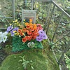 Дегтерев Владимир Михайлович