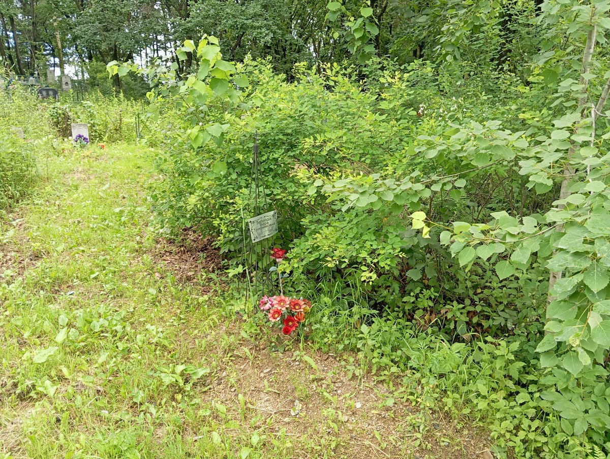 84fe00e6-e021-4d33-bd95-aac28a7fb495 Заброда Вера Трофимовна