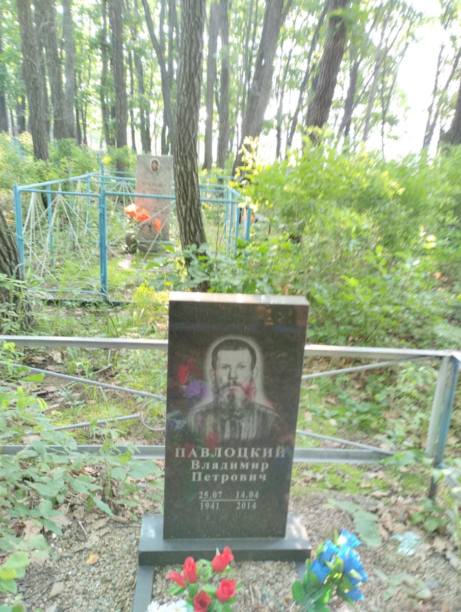 Павлоцкий Владимир Петрович