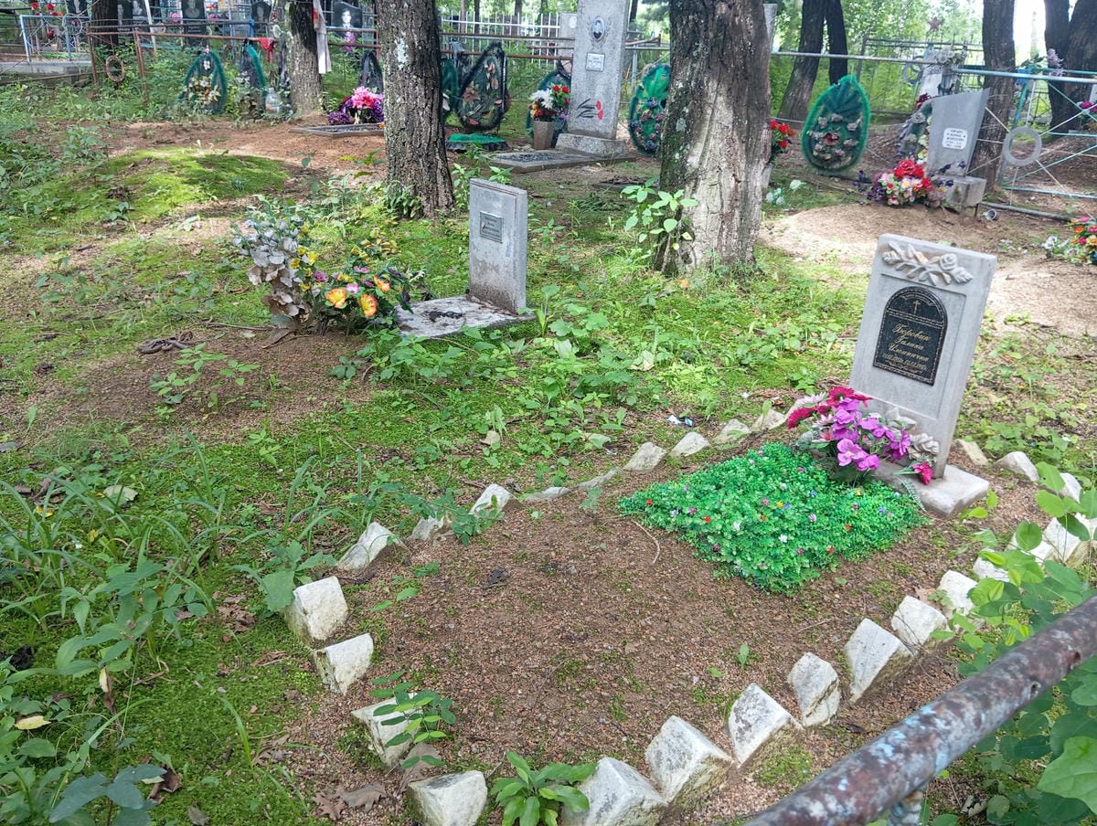 86092697-5bc3-4f51-a4e5-6d434e3649c3 Боровик Галина Ильинична