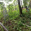 Макосейчук Федора Николаевна