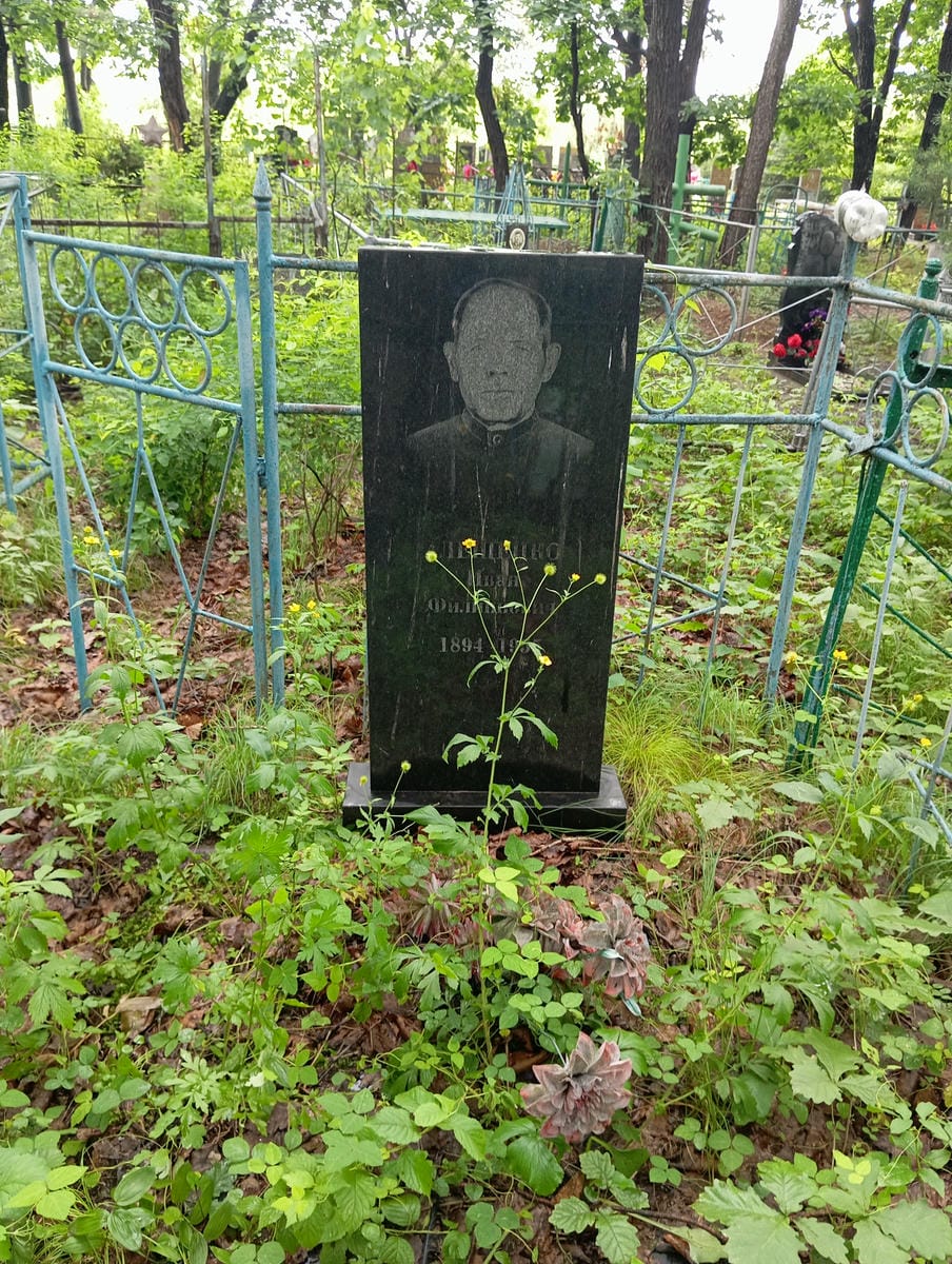 87c2e5c5-d498-43f7-ae60-1e69035114a0 Алещенко Иван Филиппович