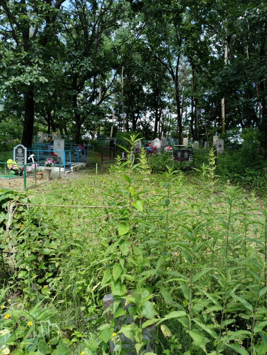 87ec9acb-a7b0-425a-b6e7-a39042b82f9b Полищук Галина Иннокентьевна