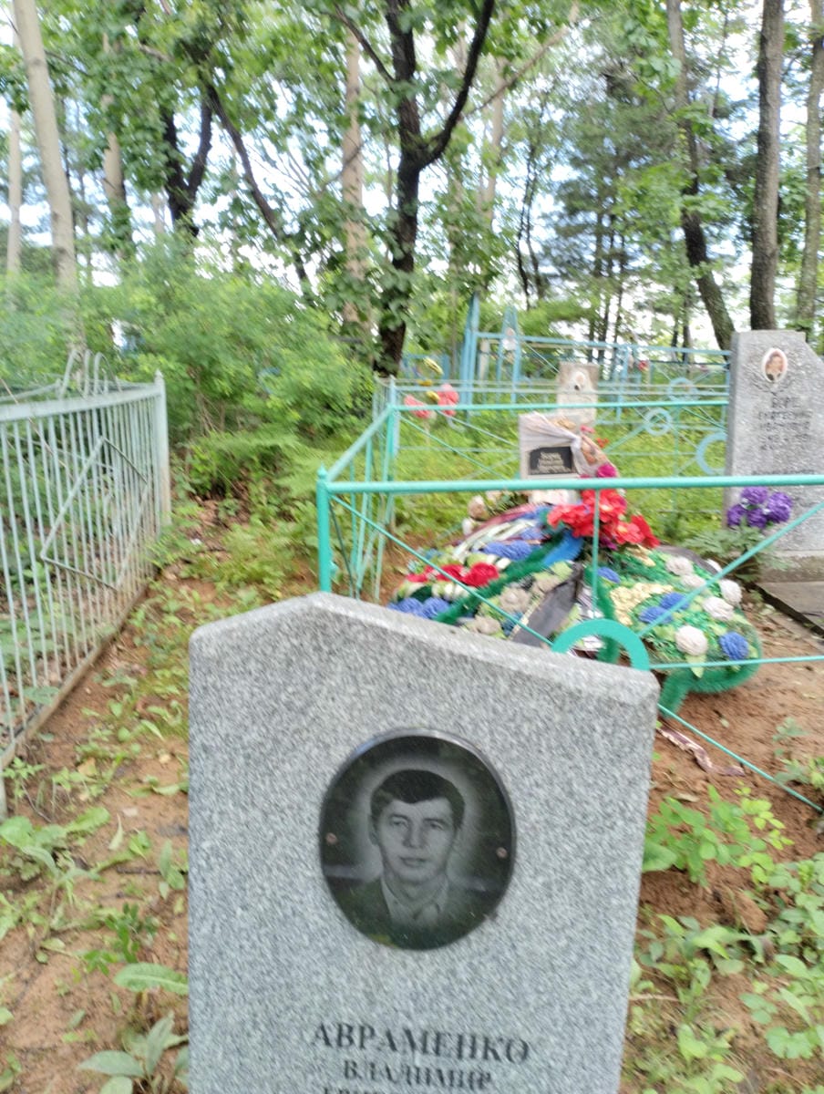 8902f136-7ebb-40bb-b2b0-177961c578ad Авраменко Владимир Григорьевич