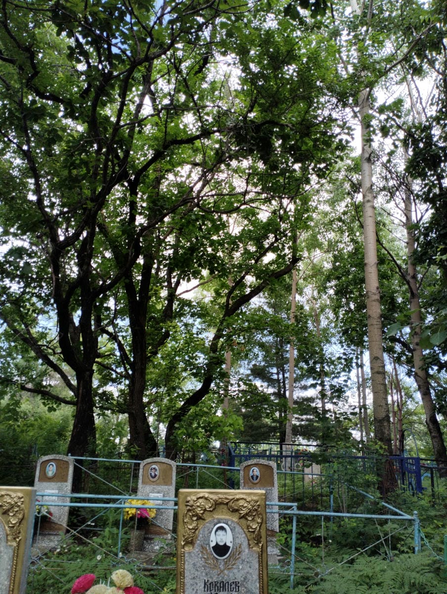 Ковалев Юрий Владимирович