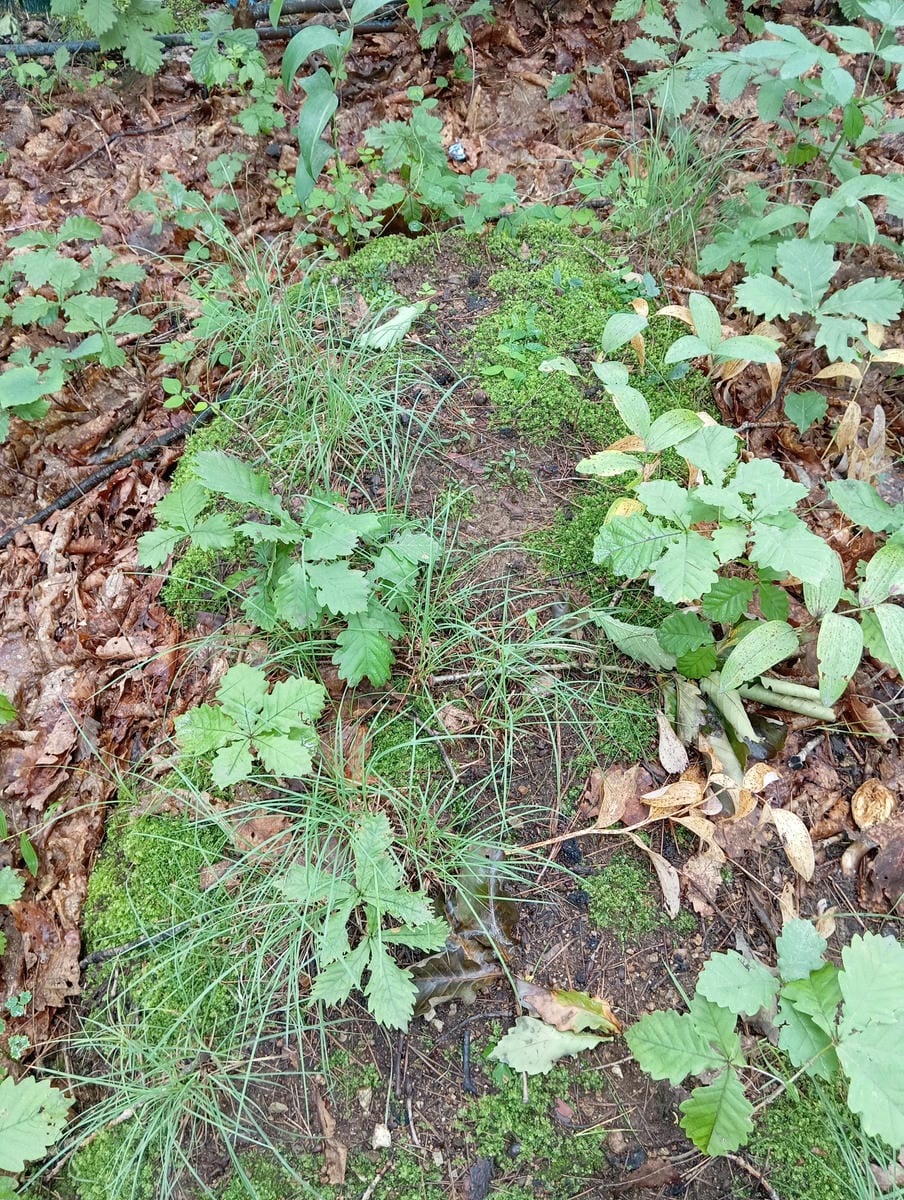 Неизвестно Неизвестно Неизвестно