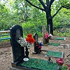Гурьев Владимир Васильевич