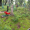 Хачко Татьяна Степановна