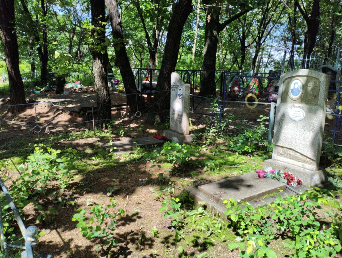 8e910fd4-98c5-4d02-b736-c52974cc82e0 Синяк Афанасия Евстафиевна