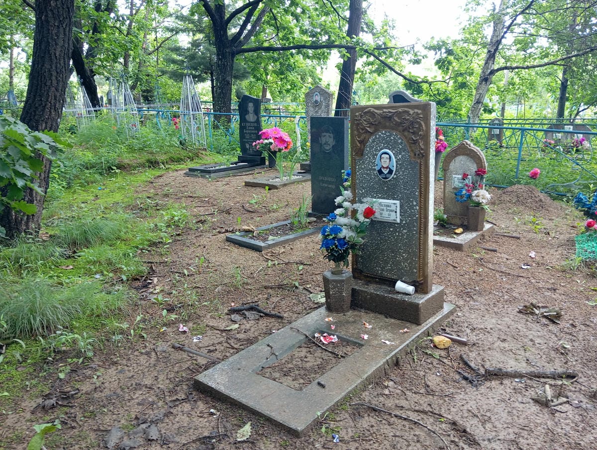 Половко Анатолий Петрович
