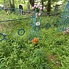 Панарина Пелагея Ивановна
