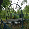 Сингаевский Иван Викторович