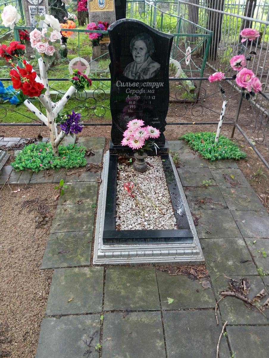 92fc9e0d-db09-4f8a-bce6-f635aed19d0b Сильверструк Серафима Андреевна