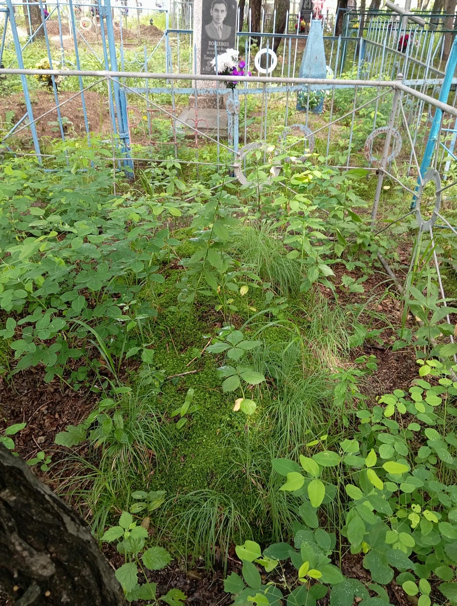 93703305-5cf9-4b2d-b684-a464b6f4ed95 Неизвестно Неизвестно Неизвестно