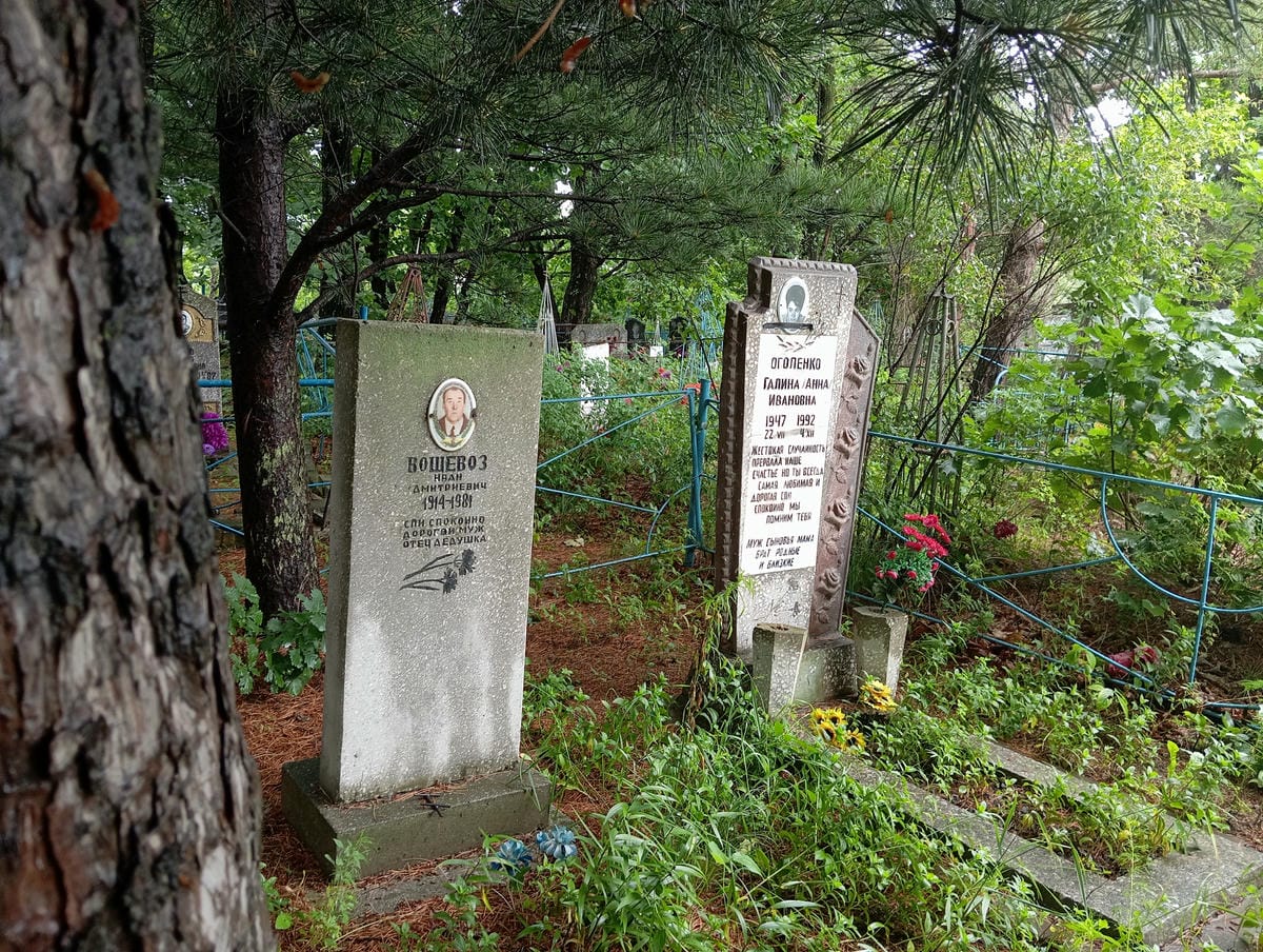 949ad2a6-f3b2-420a-bb5b-b830a176eb76 Вощевоз Иван Дмитриевич
