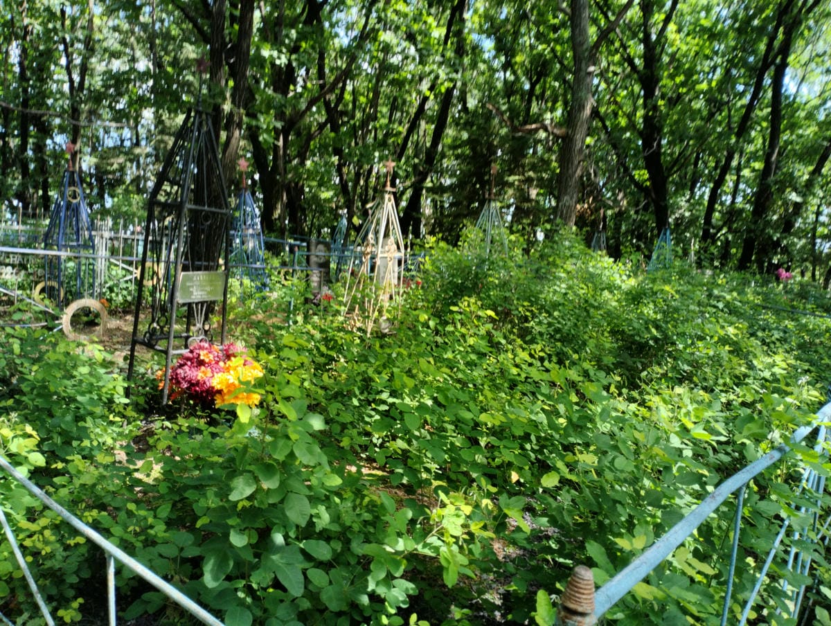 94d68a29-d2f6-43a7-8580-54b6f5557ac0 Двоенко Никифор Евдокимович