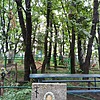 Чернусь Мария Сергеевна