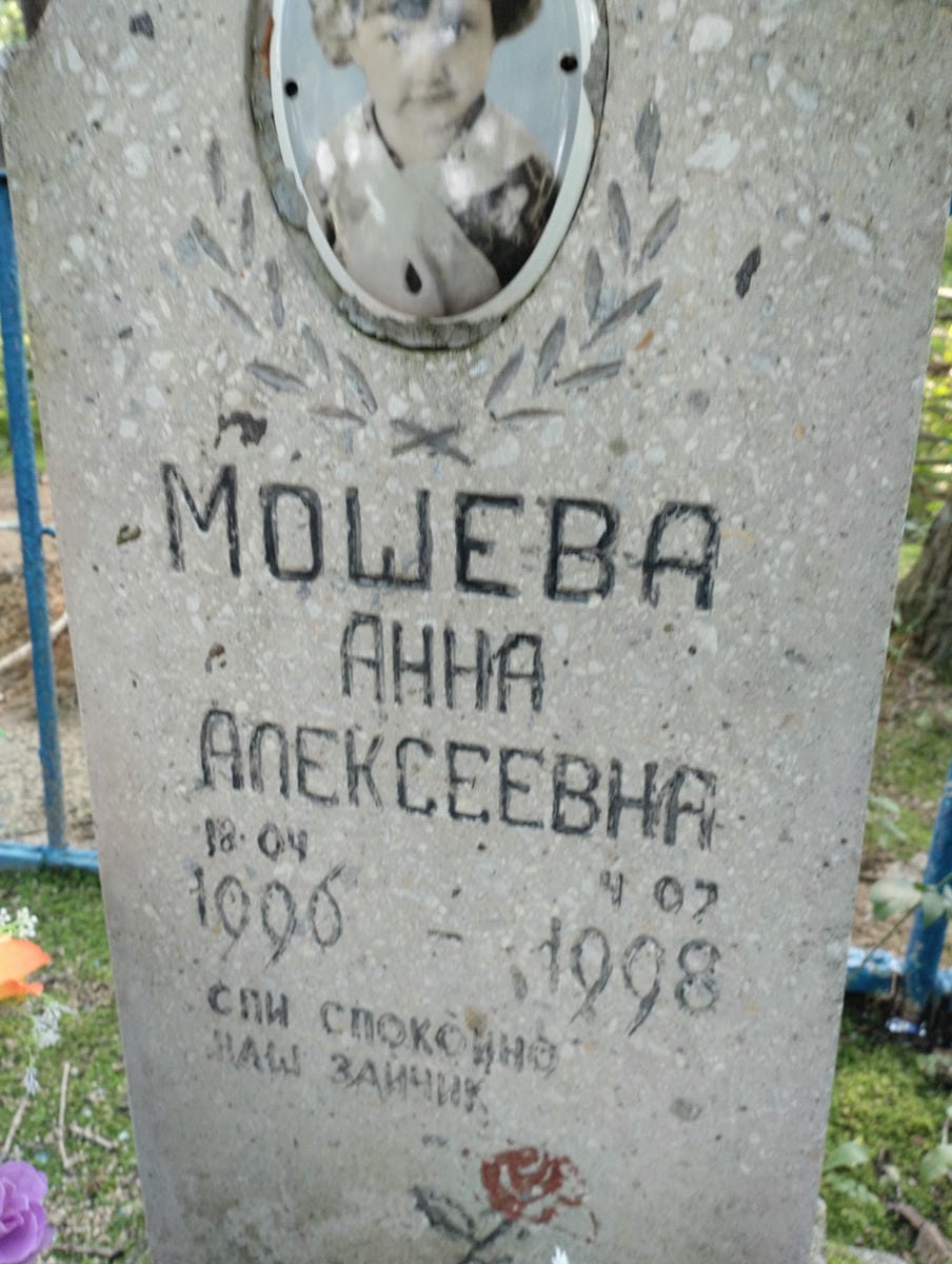 95dd510b-ca3f-4855-901c-26201ece7601 Мошева Анна Алексеевна