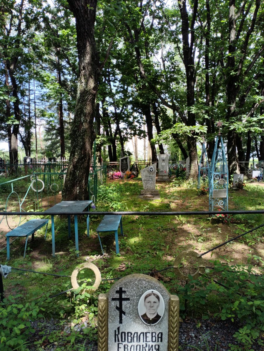97e55d91-a3ce-417a-aed0-a8872590e5f6 Ковалева Евдокия Ивановна