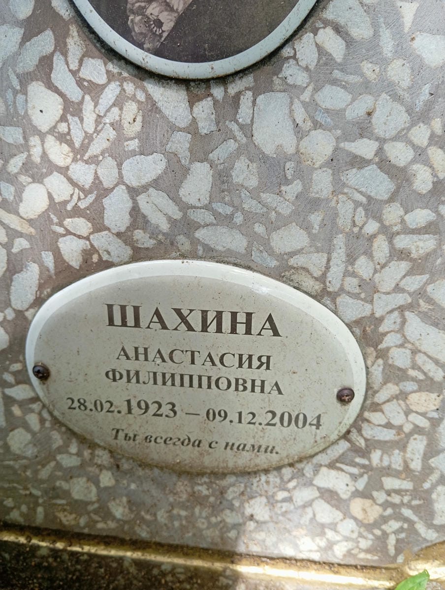 9858810b-a0f8-4d37-9d0e-43db366db42e Шахина Анастасия Филипповна